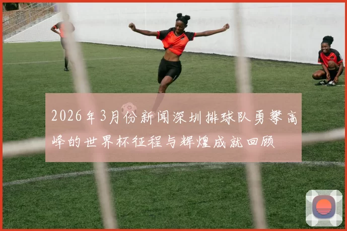 2026年3月份新闻深圳排球队勇攀高峰的世界杯征程与辉煌成就回顾
