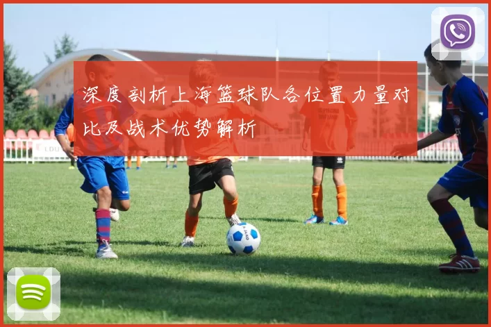 深度剖析上海篮球队各位置力量对比及战术优势解析