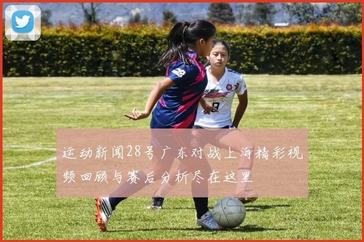 运动新闻28号广东对战上海精彩视频回顾与赛后分析尽在这里