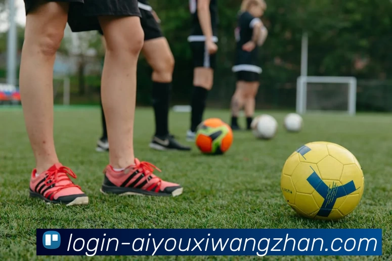 爱游戏服务体系